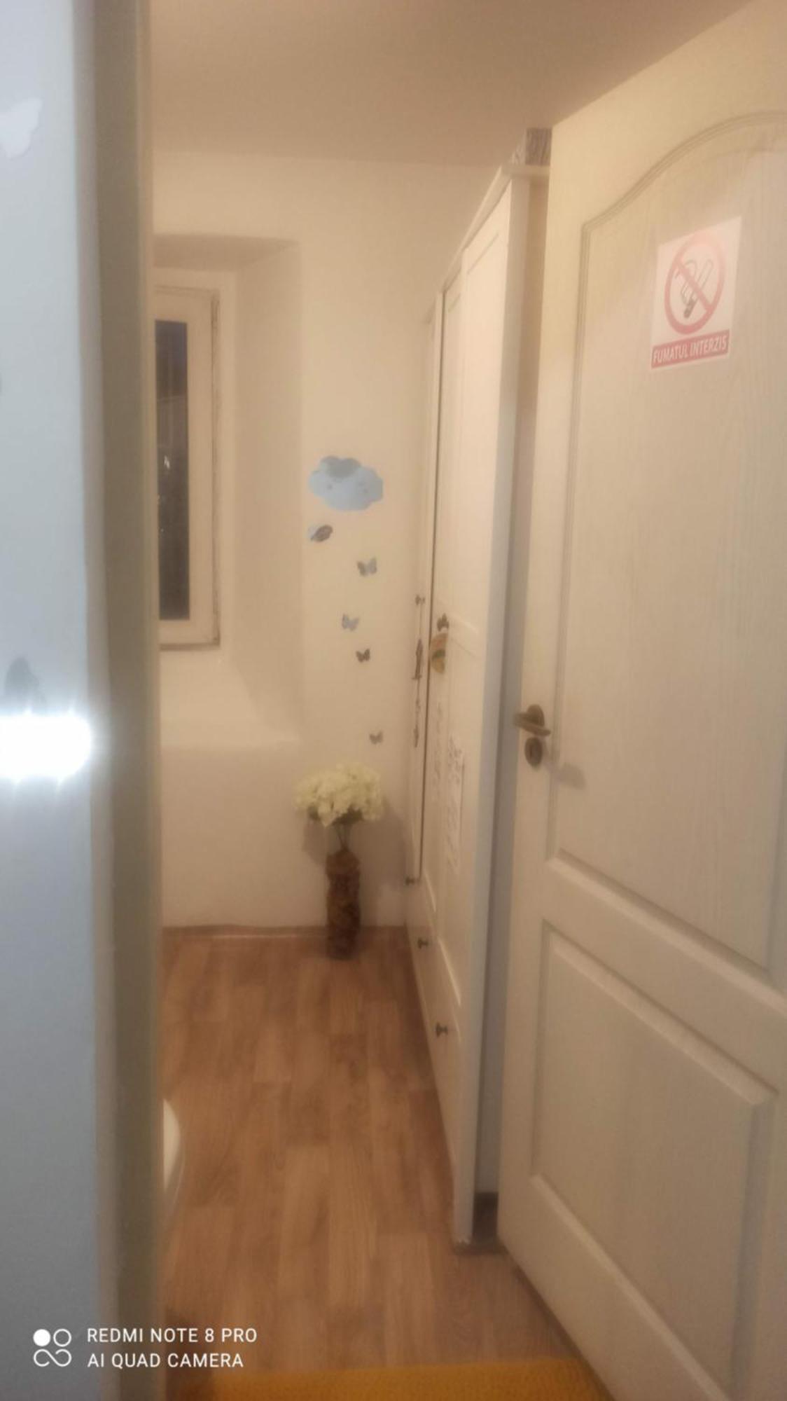 Studio Pe Somes Cluj-Napoca Luaran gambar