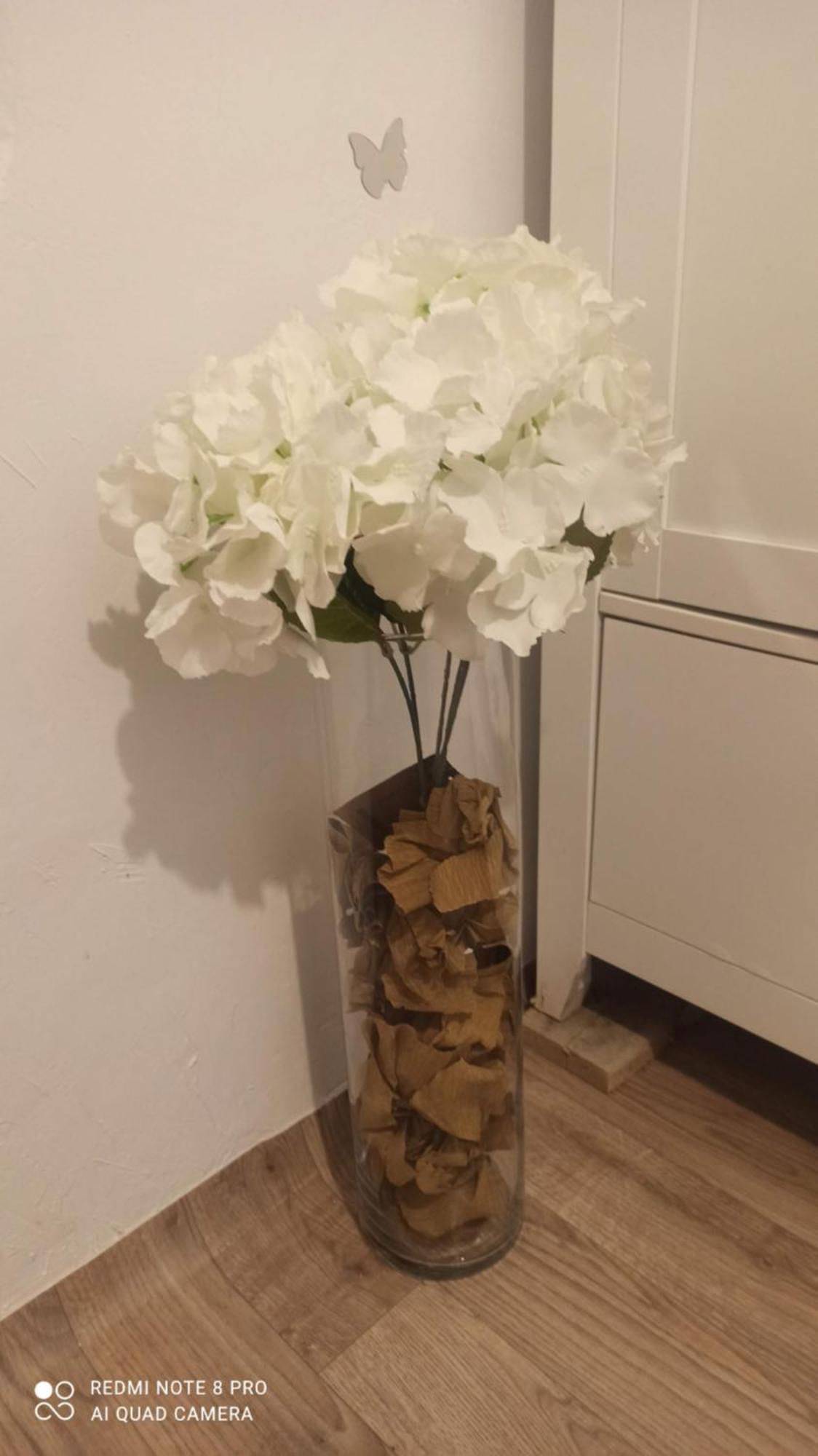 Studio Pe Somes Cluj-Napoca Luaran gambar